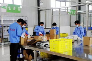 電商筑夢，振興鄉村 徽縣電子商務平臺開發運營助力脫貧攻堅