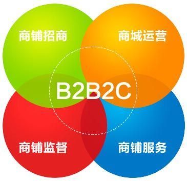 B2B2C商城盈利之道 從系統(tǒng)開發(fā)到精細(xì)化運(yùn)營的全景策略
